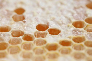 Boş ve bal dolu petek