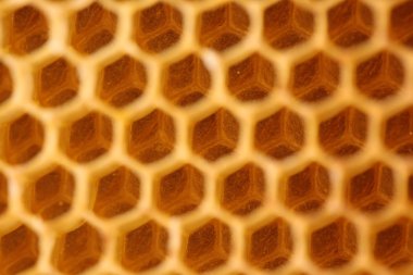 Boş ve bal dolu petek