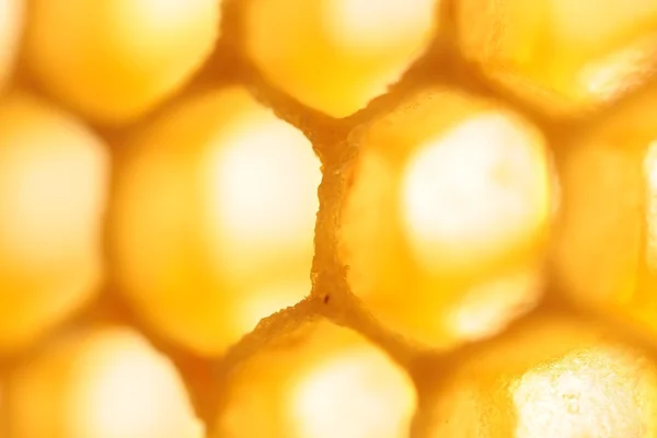 Fettuccio d'ape vuoto — Foto Stock
