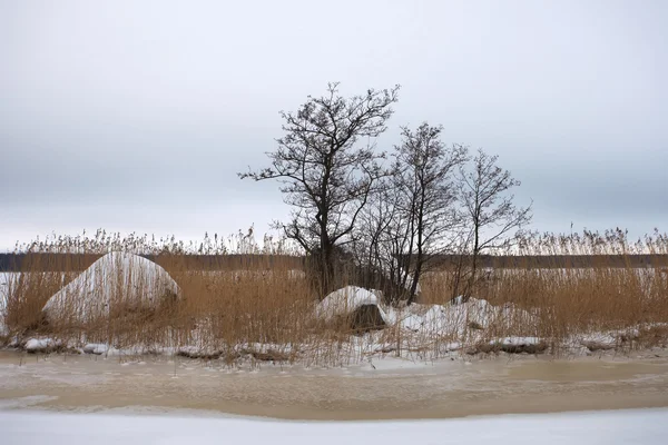Finnischer Golf der Ostsee im Winter — Stockfoto