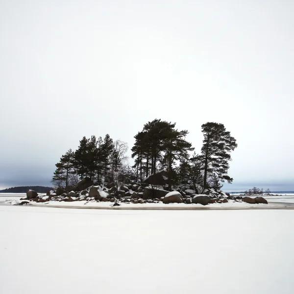 Finsky gulf of the Baltic sea in winter