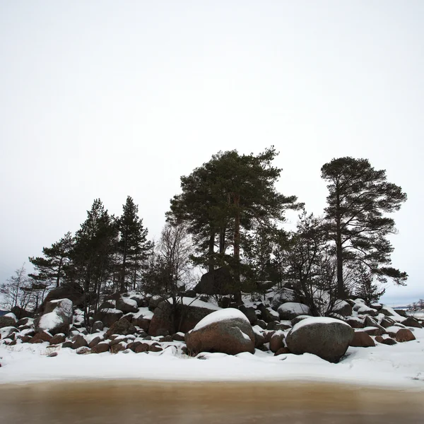 Finsky gulf of the Baltic sea in winter — Stock Photo, Image