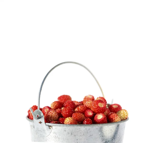Isolated small bucket full of strawberries — Stock Photo, Image