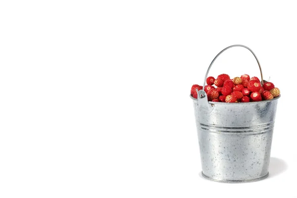 Isolated small bucket full of strawberries Royalty Free Stock Images