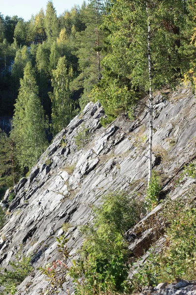 大理石的悬崖上的森林 — 图库照片