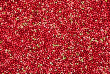 Kırmızı orman lingonberries dokusuna