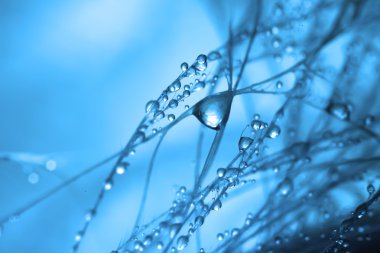 Mavi tonlarında soyutlama