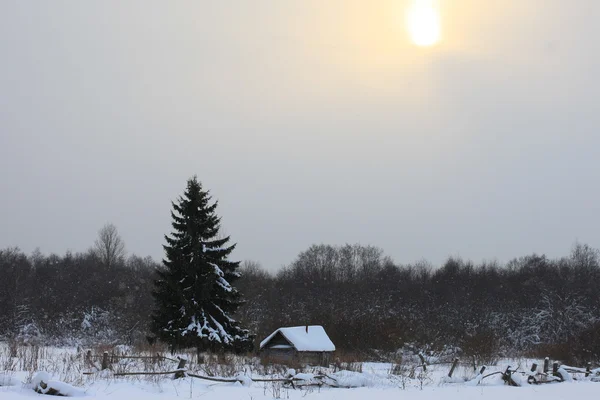 Pequeña casa en el bosque de invierno bajo el árbol — Foto de Stock