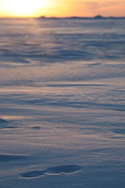 Sunset over the snowy desert. Bright orange blue sky — Stock Photo, Image