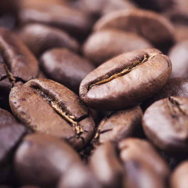 1 つの焦点とのコーヒー豆のクローズ アップ — ストック写真