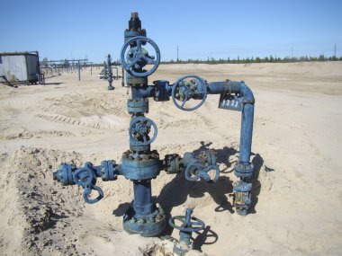 Kuzey Rusya'nın petrol kuyusu
