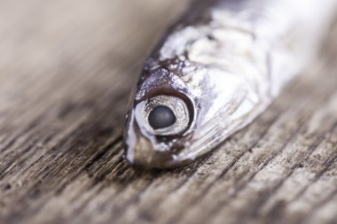 ahşap pano portre üzerinde küçük balık