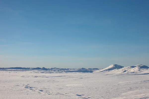 The Arctic landscape. snow plain and sky — Stock Photo, Image