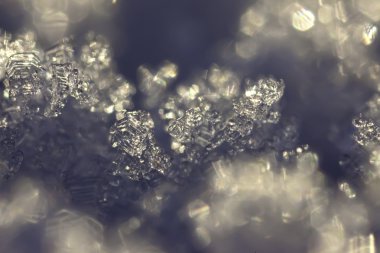 Güneş ışığı closeup Frost kristaller