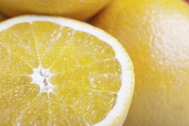 portakal makro portre