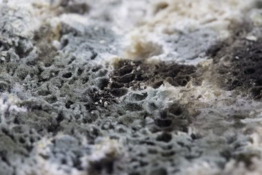 ekmek portre üzerinde kalıp