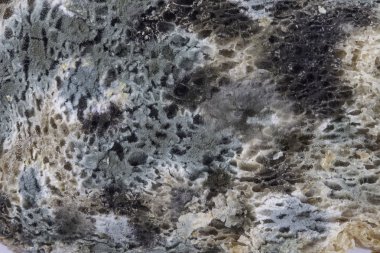 ekmek portre üzerinde kalıp