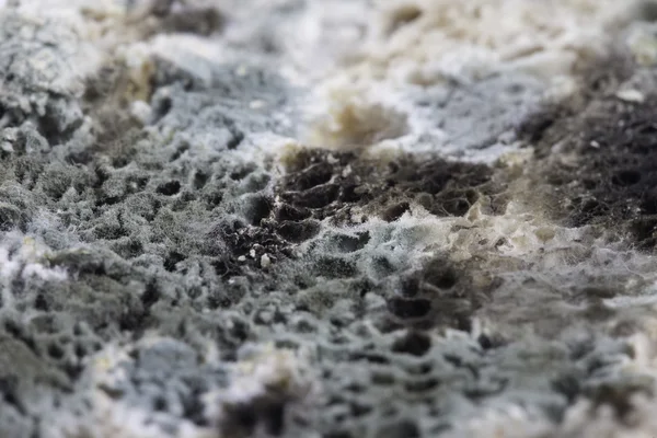 ekmek portre üzerinde kalıp