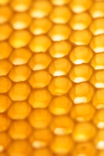 Nid d'abeille gros plan jaune abstrait fond vertical — Photo