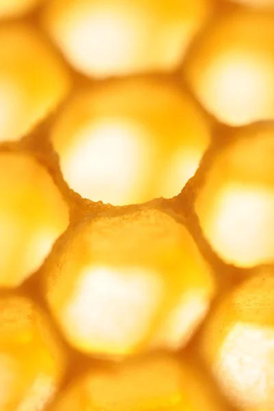 Honeycomb bright sunny yellow abstract vertical background — Stock Photo, Image