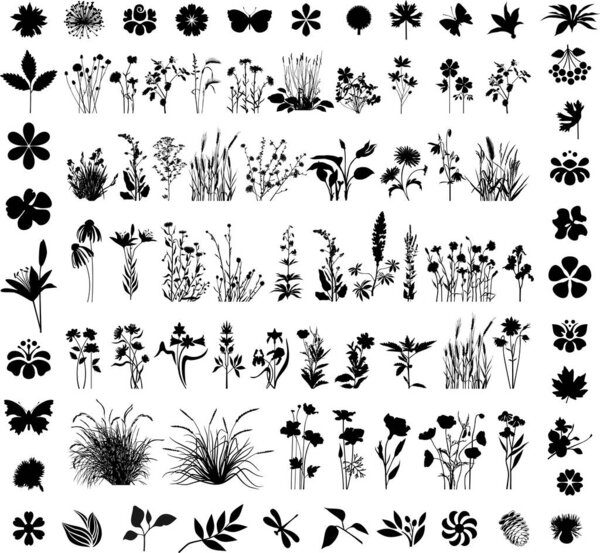 Collection of variable plants and flowers - silhouettes