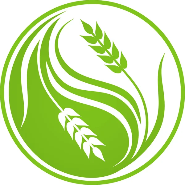 Getreide Yin Yang — Stockvektor