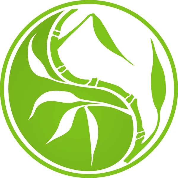 Yin Yang bambú — Vector de stock