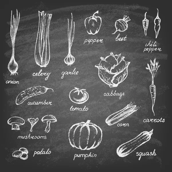 Collecte de légumes dessinés à la main . — Image vectorielle