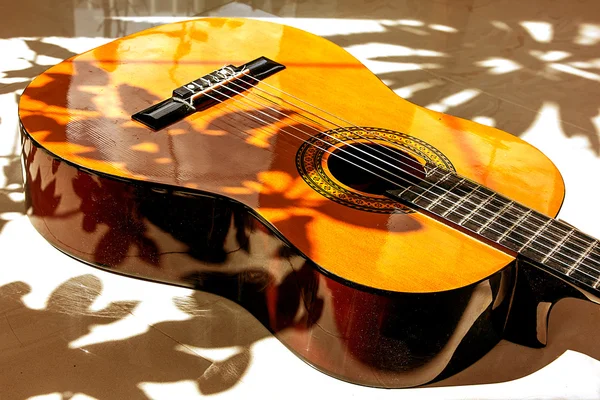 Акустична гітара влітку — стокове фото
