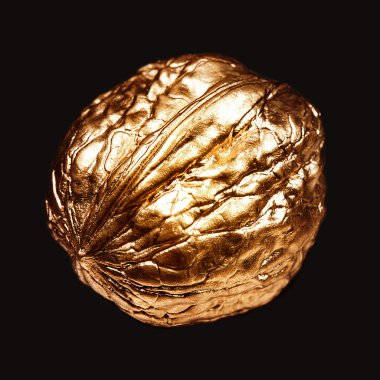 Ceviz izole büyük planı