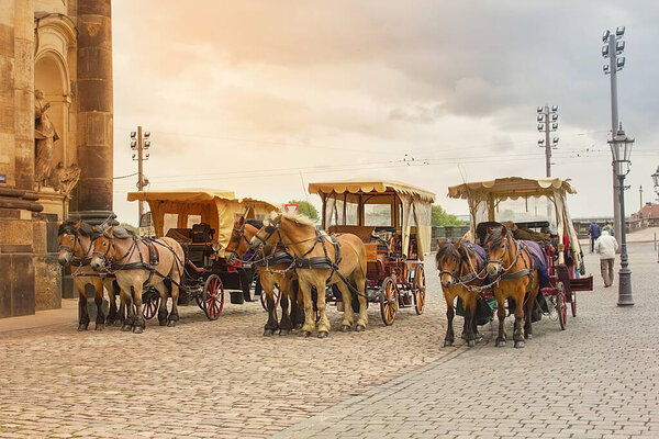 Three horse-drawn carts pulled by two horses stands on the cobbled pavement of the city.