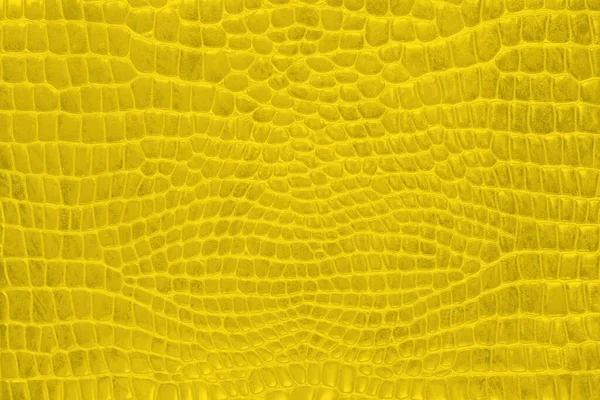 Желтая крокодиловая кожа, белая, цветная, отлично подойдет для любых дизайнерских целей. Каменная текстура. Природа. — стоковое фото