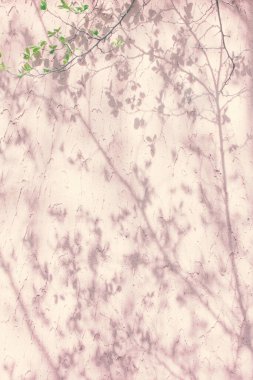 Duvarda doğa sanatı, arka planda gül sarısı renkler. Yeşil yapraklı dal.