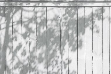 Ahşap çitteki siyah beyaz ağaç gölgesi, tasarımınız için arka plan.