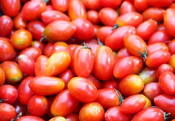 Tomaten — Stockfoto