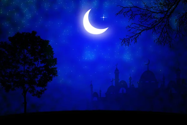Silhouet van moslim bij zonsondergang. — Stockfoto