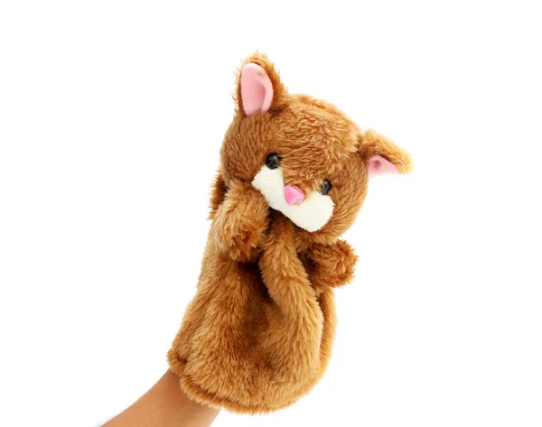 The hand puppet — Stock Photo, Image