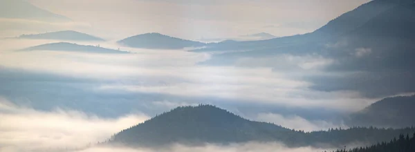 Nevoeiro sobre a floresta nas montanhas dos Cárpatos — Fotografia de Stock