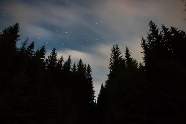 별이 총 총 한 하늘을 배경으로 산에 있는 나무들 — 스톡 사진