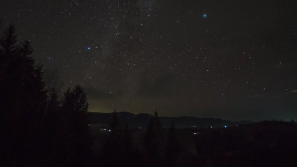 Timelapse Різдвяні ялинки на тлі зоряного неба — стокове відео