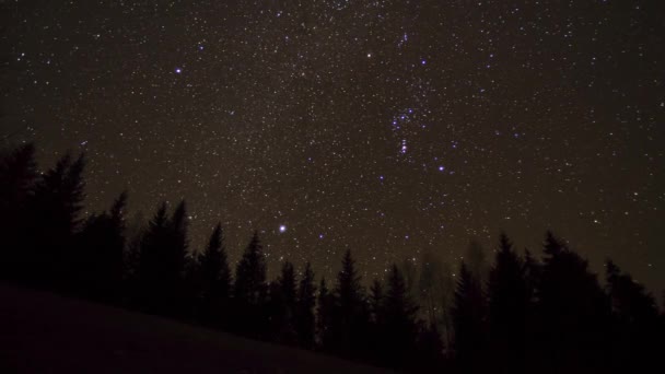 Árvores de Natal Timelapse contra o fundo do céu estrelado — Vídeo de Stock