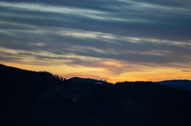 Karpatya dağlarında günbatımının arka planında orman silueti