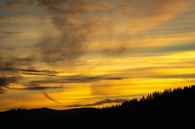 Orman ağaçlarının silueti Karpat dağlarında günbatımının arka planında