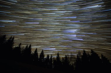 Gece gökyüzünde yıldız izleri Karpatlar ormanlarında.