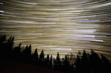 Gece gökyüzünde yıldız izleri Karpatlar ormanlarında.