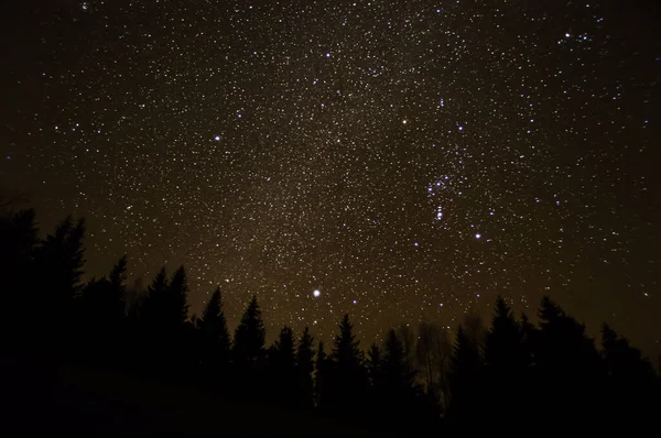 Fotos Nocturnas Las Montañas Cárpatos Con Cielo Estrellado Brillante Vía — Foto de Stock