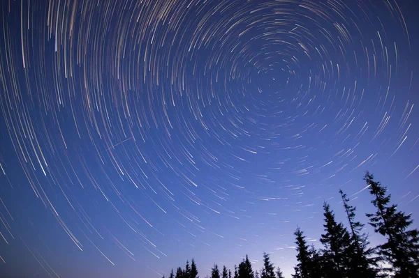 Star trails in the night sky in the forest in the Carpathians