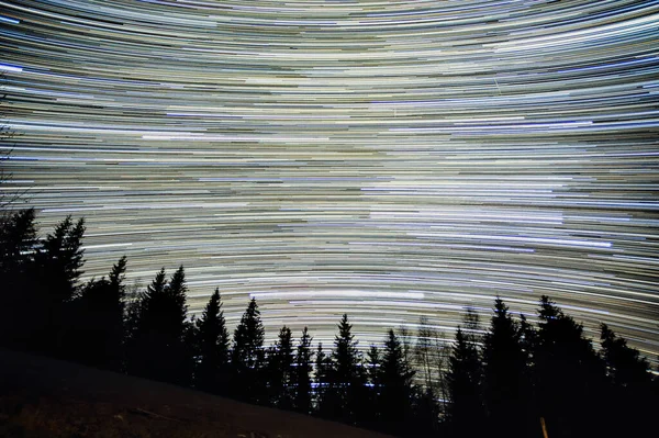 Gece Gökyüzünde Yıldız Izleri Karpatlar Ormanlarında — Stok fotoğraf