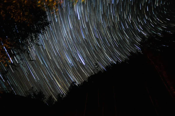 Звездные Тропы Ночном Небе Лесу Карпатах — стоковое фото