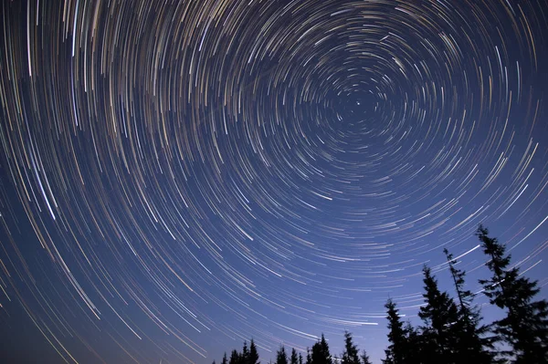 Star trails in the night sky in the forest in the Carpathians